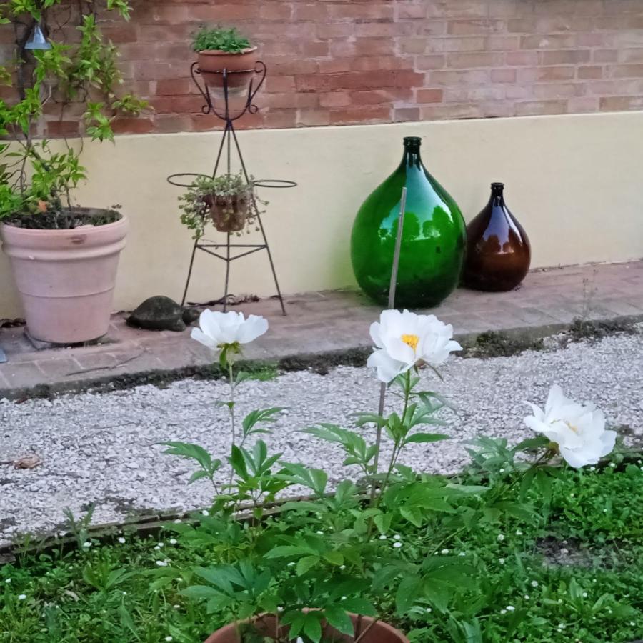 بولونيا B&B Marana 14 Casa Di Campagna المظهر الخارجي الصورة