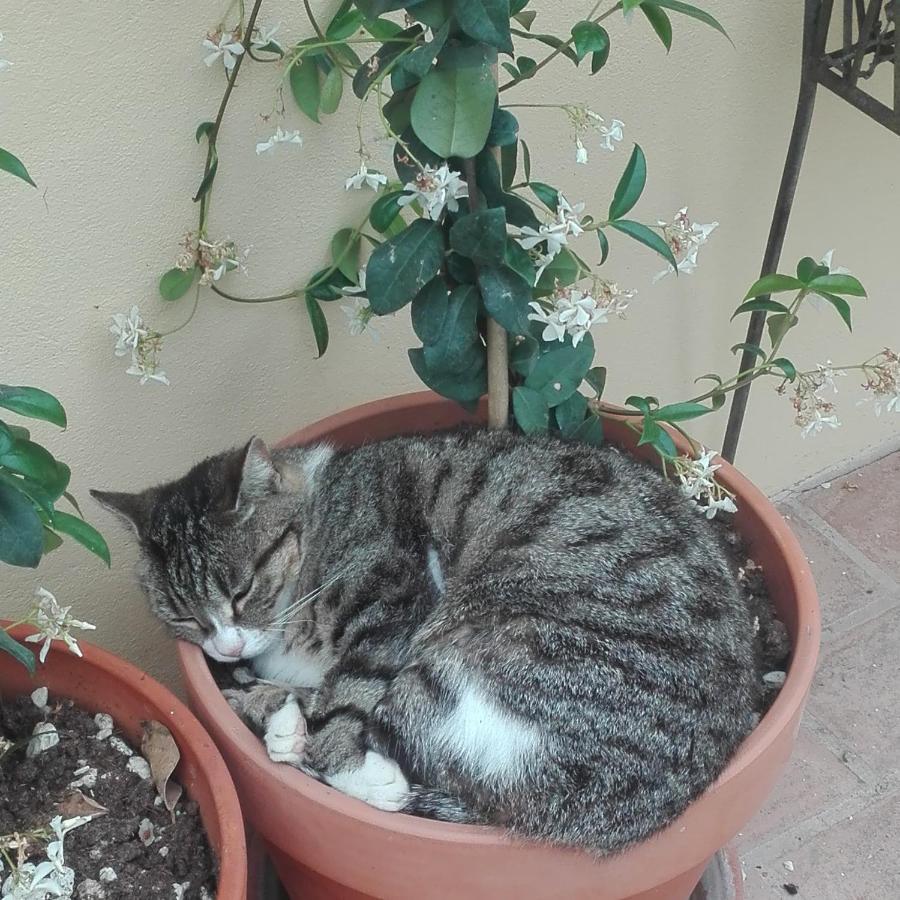بولونيا B&B Marana 14 Casa Di Campagna المظهر الخارجي الصورة